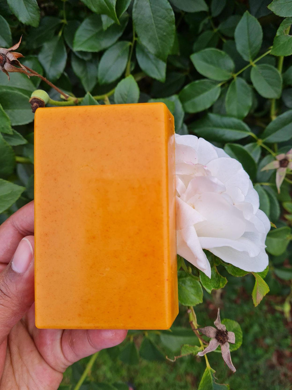 The Promise Land: Goat's Milk, Turmeric & Golden Honey Soap Bar