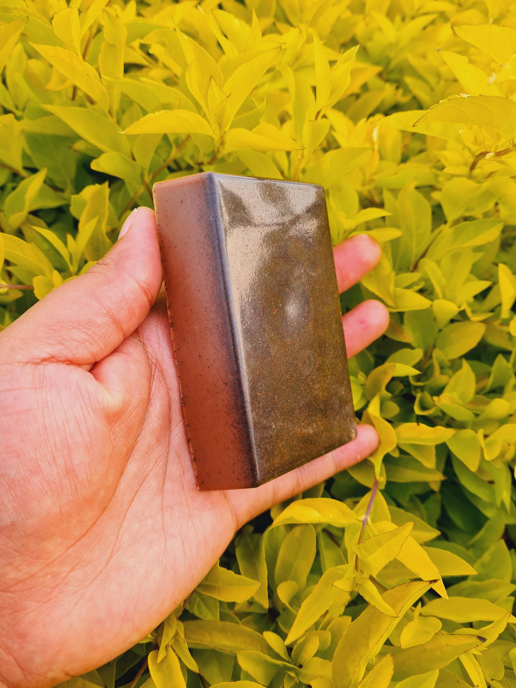 His Riches in Glory: Coffee & Cinnamon Soap Bar